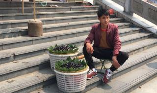 浙江中医院乌梅汤2.0 浙江中医院乌梅汤2.0