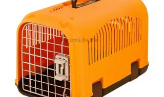 宠物托运空运多少钱 宠物托运空运多少钱