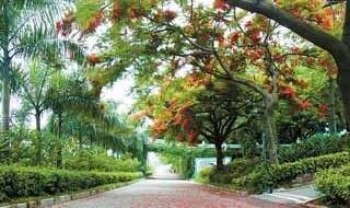 时光的河入海流终于我们分头走 时光的河入海流终于我们分头走