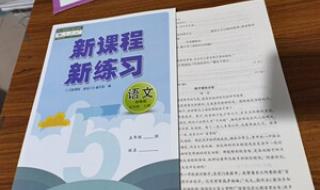 语文高考试卷2021答案 语文高考试卷2021答案