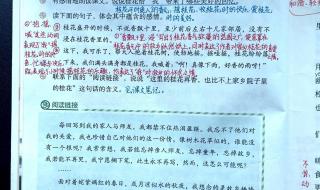 五年级上册语文复习资料