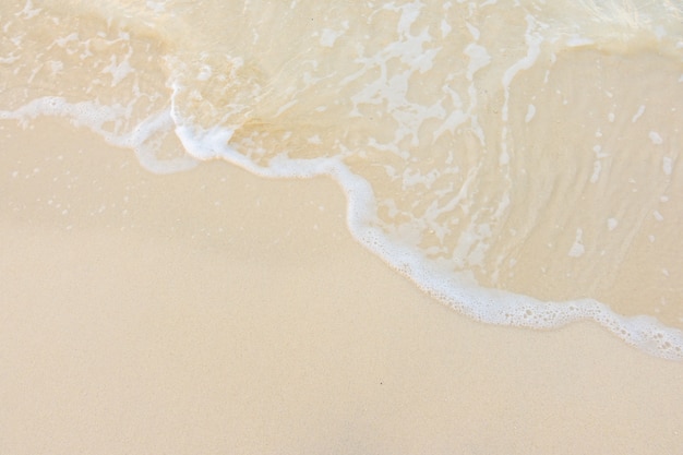 2023专科第三次报志愿有哪些学校 士官学校录取分数线2023